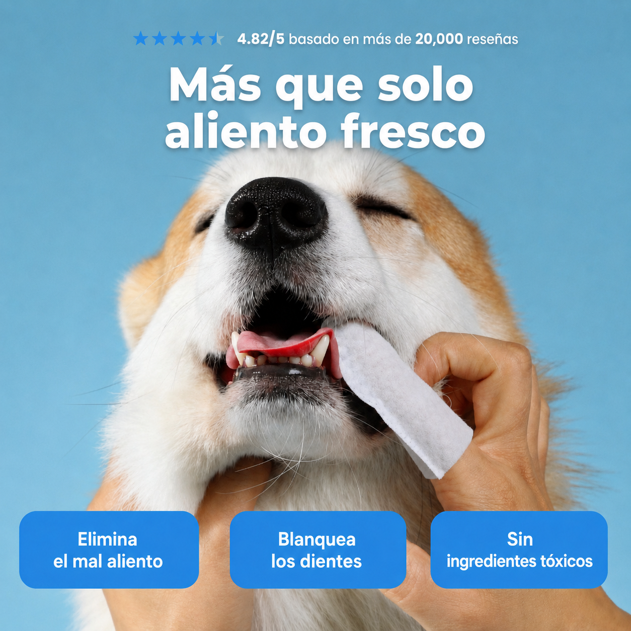 Toallitas Dentales Naturales Nivora