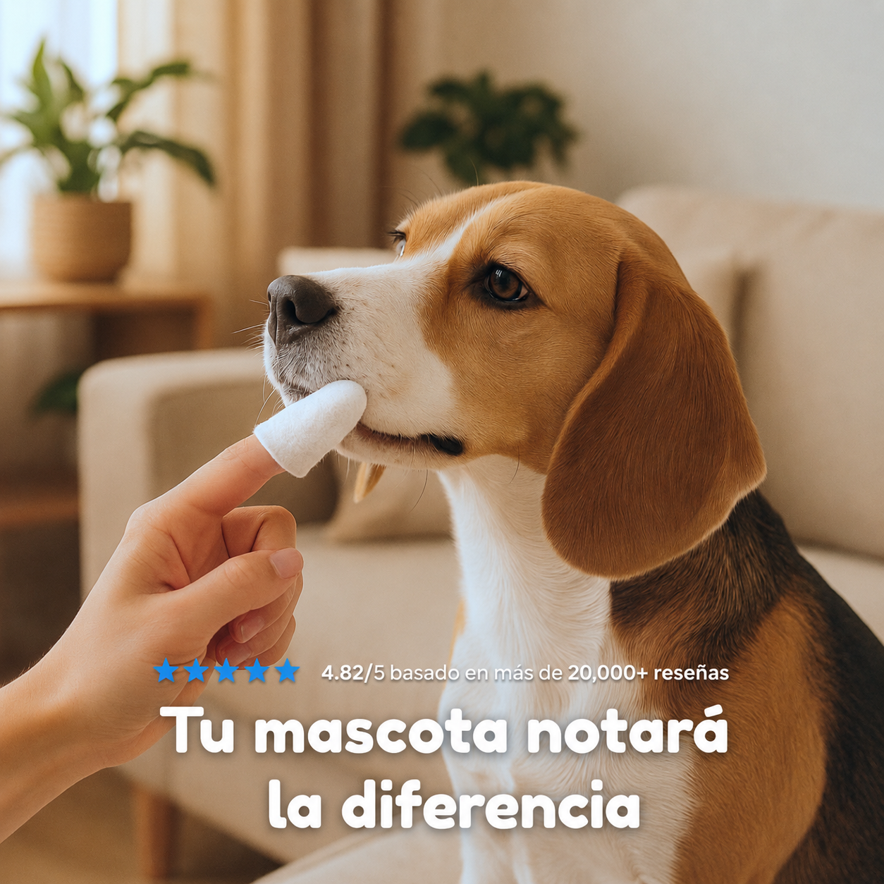 Toallitas Dentales Naturales Nivora