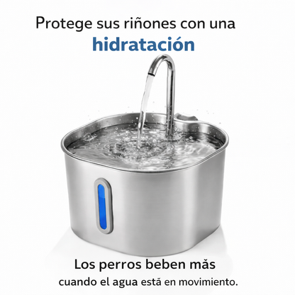 Fuente de Agua de Acero Inoxidable