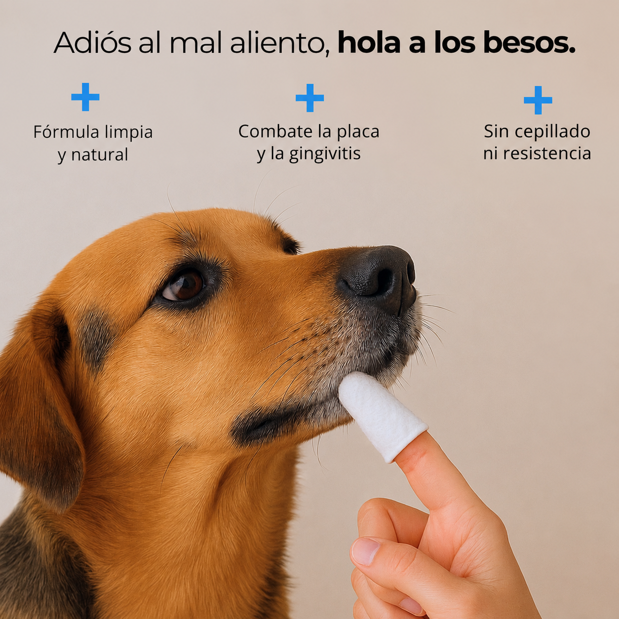 Toallitas Dentales Naturales Nivora
