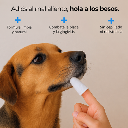 Toallitas Dentales Naturales Nivora