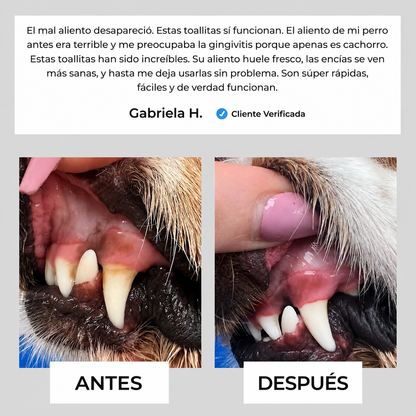 Toallitas Dentales Naturales Nivora